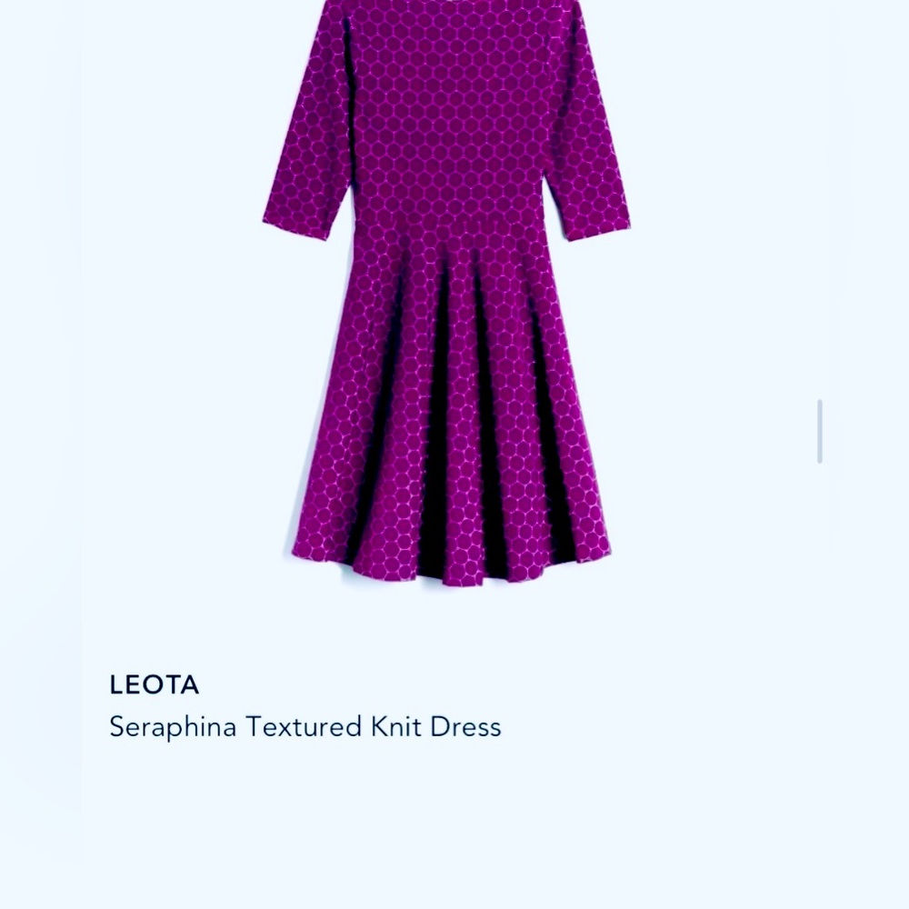 Leota circle dress (your choice of color) bought from StitchFix